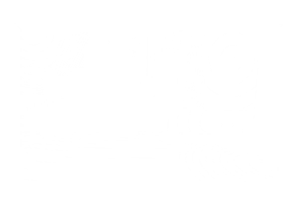 Concentric Perspective Study II